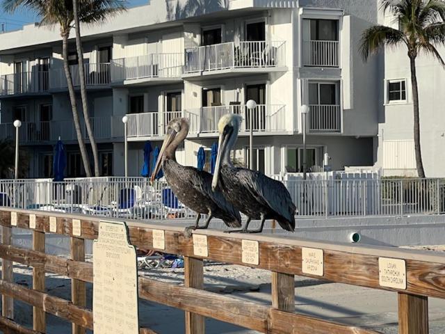 Casa Clara Condos Key Colony Beach Extérieur photo